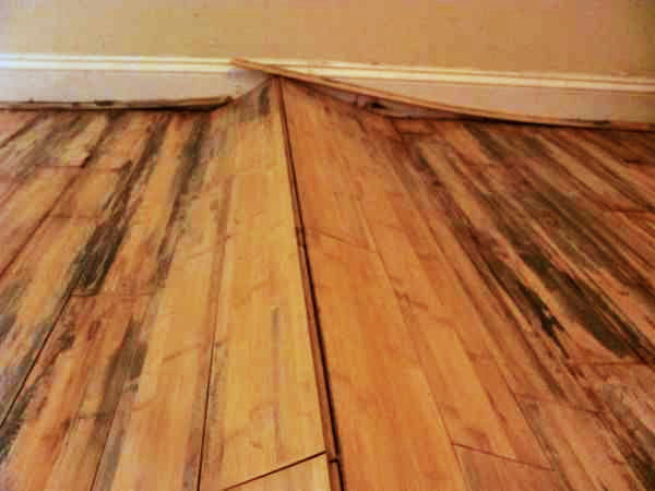 Flood & Wood Buckling